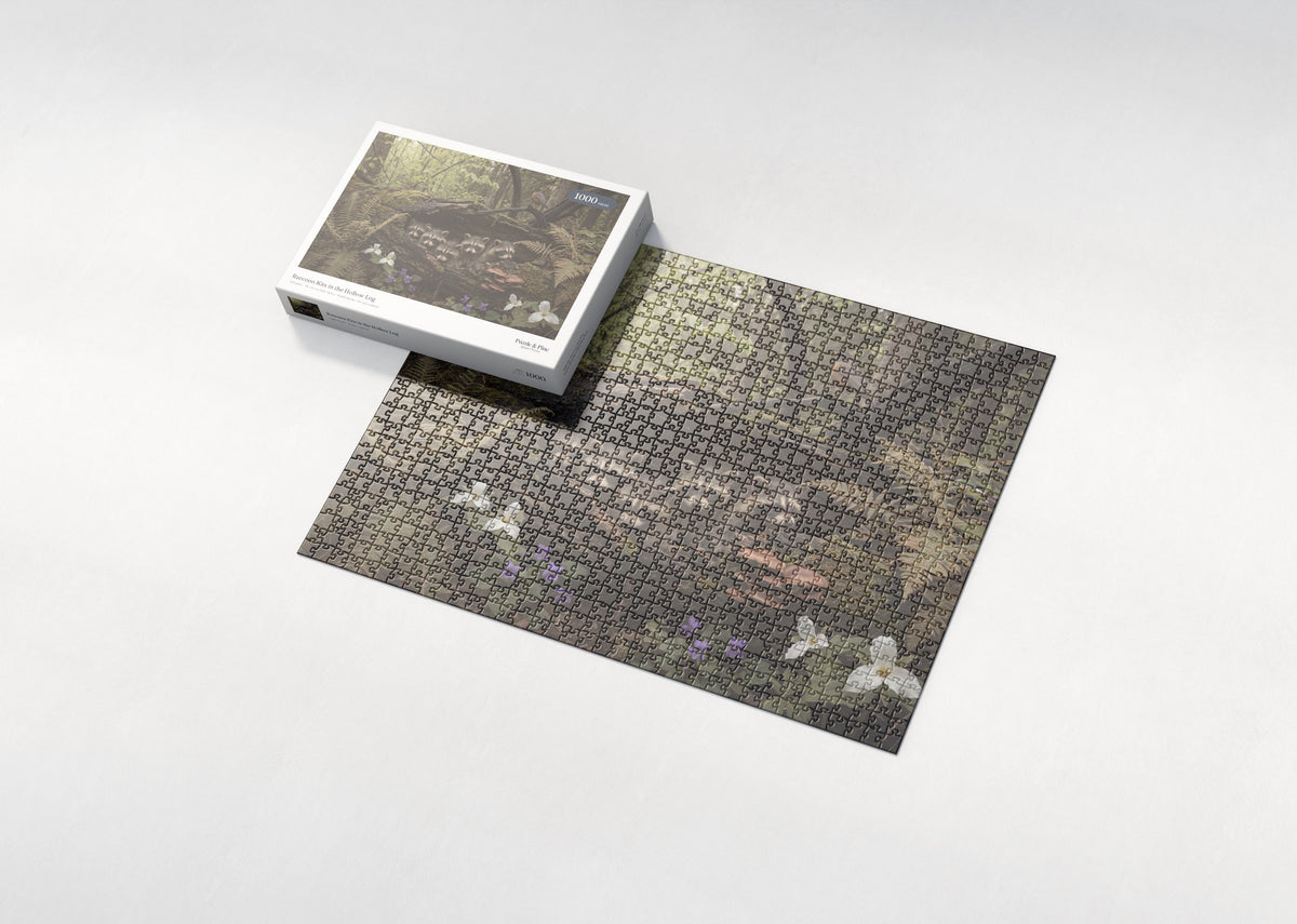 Raccoon Kits in the Hollow Log jigsaw puzzle - box and puzzle