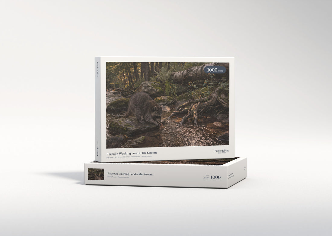 Raccoon Washing Food at the Stream jigsaw puzzle - gift box