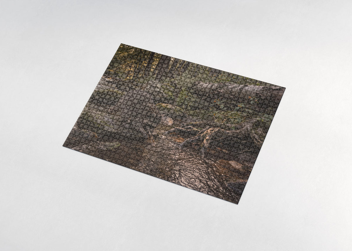 Raccoon Washing Food at the Stream jigsaw puzzle - assembled puzzle