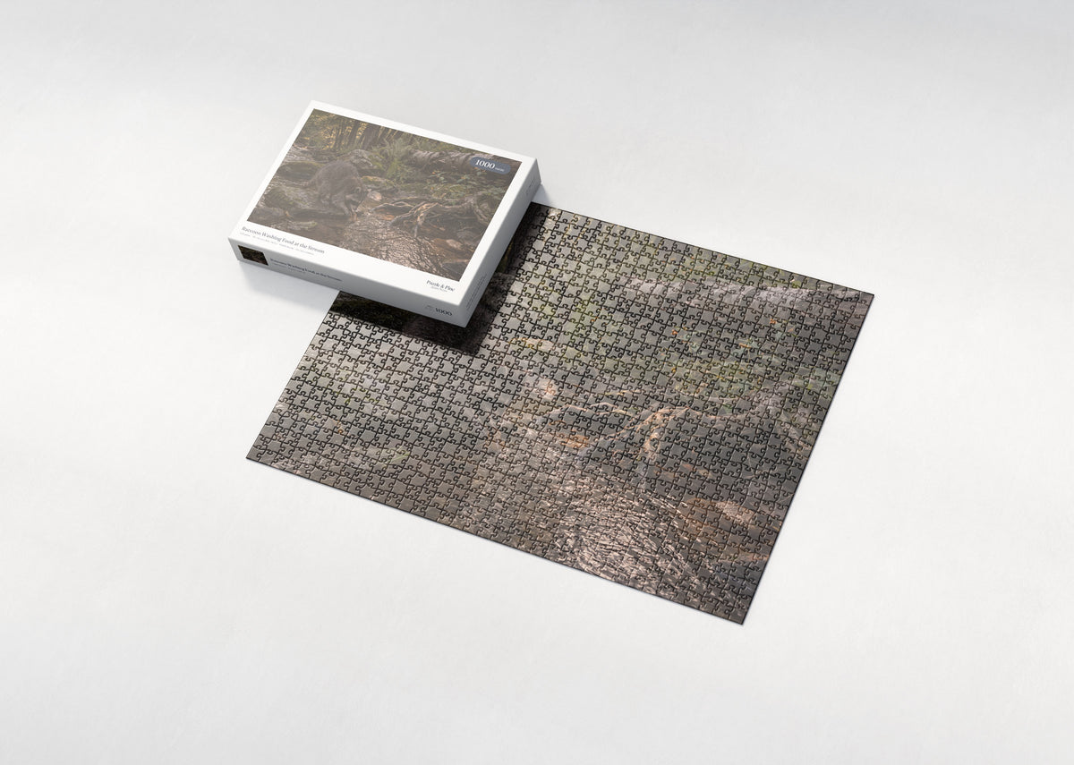 Raccoon Washing Food at the Stream jigsaw puzzle - box and puzzle
