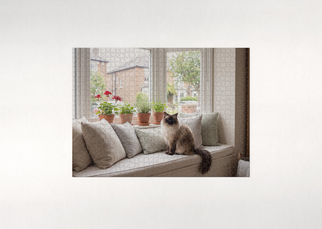 Ragdoll Cat At the Sunlit Bay Window jigsaw puzzle - gift box