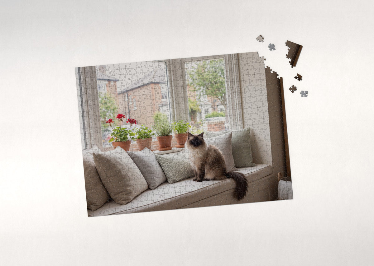 Ragdoll Cat At the Sunlit Bay Window jigsaw puzzle - puzzle with loose pieces