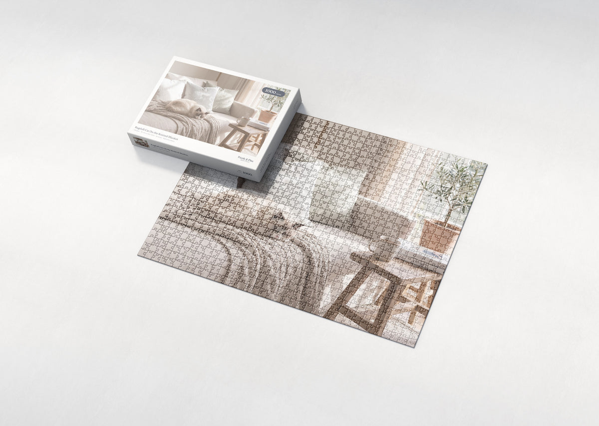 Ragdoll Cat On the Knitted Blanket jigsaw puzzle - box and puzzle