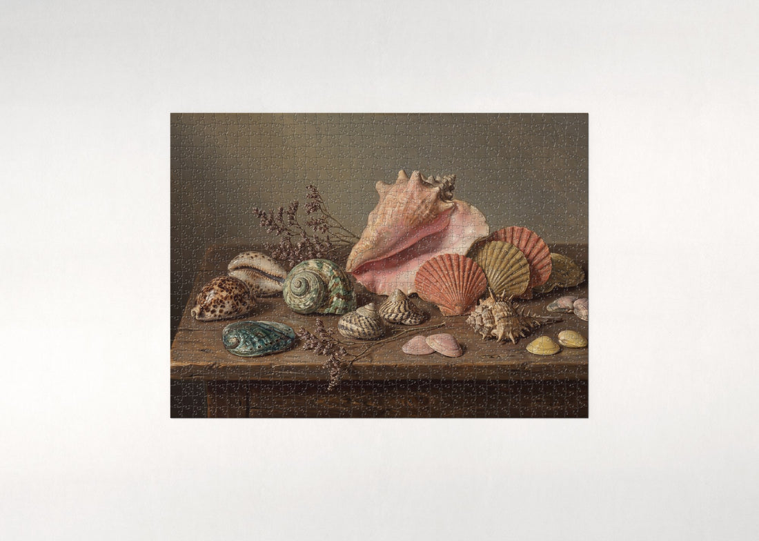 Rainbow Seashells Collection jigsaw puzzle - gift box
