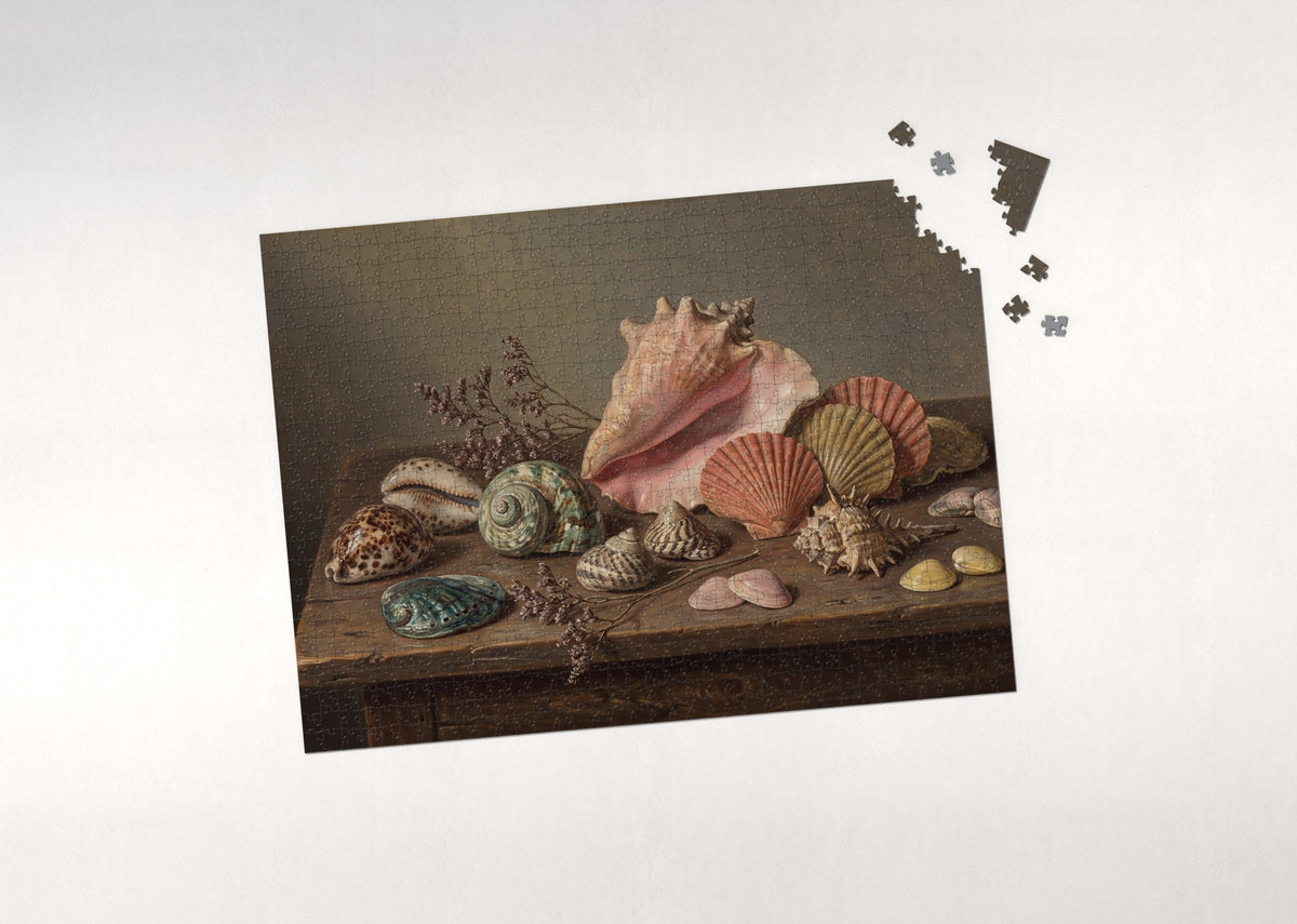 Rainbow Seashells Collection jigsaw puzzle - puzzle with loose pieces