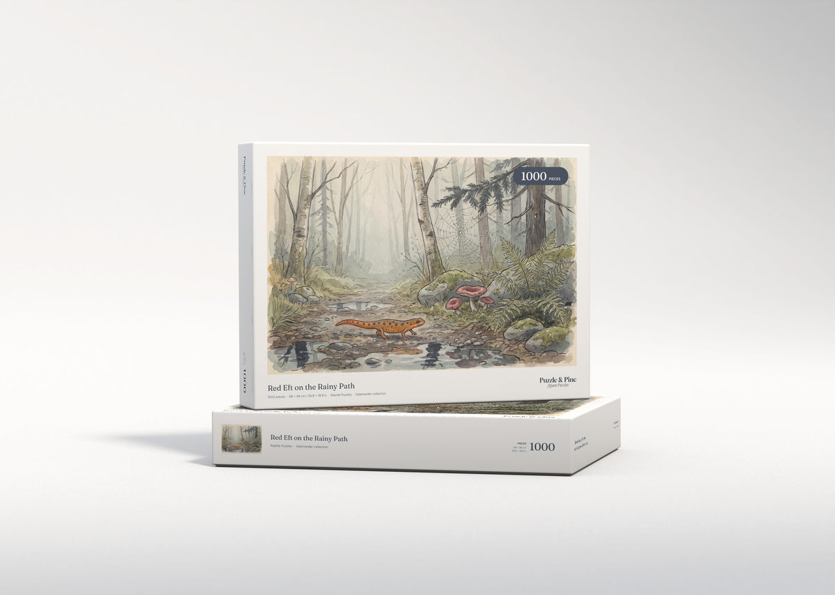 Red Eft on the Rainy Path jigsaw puzzle - gift box