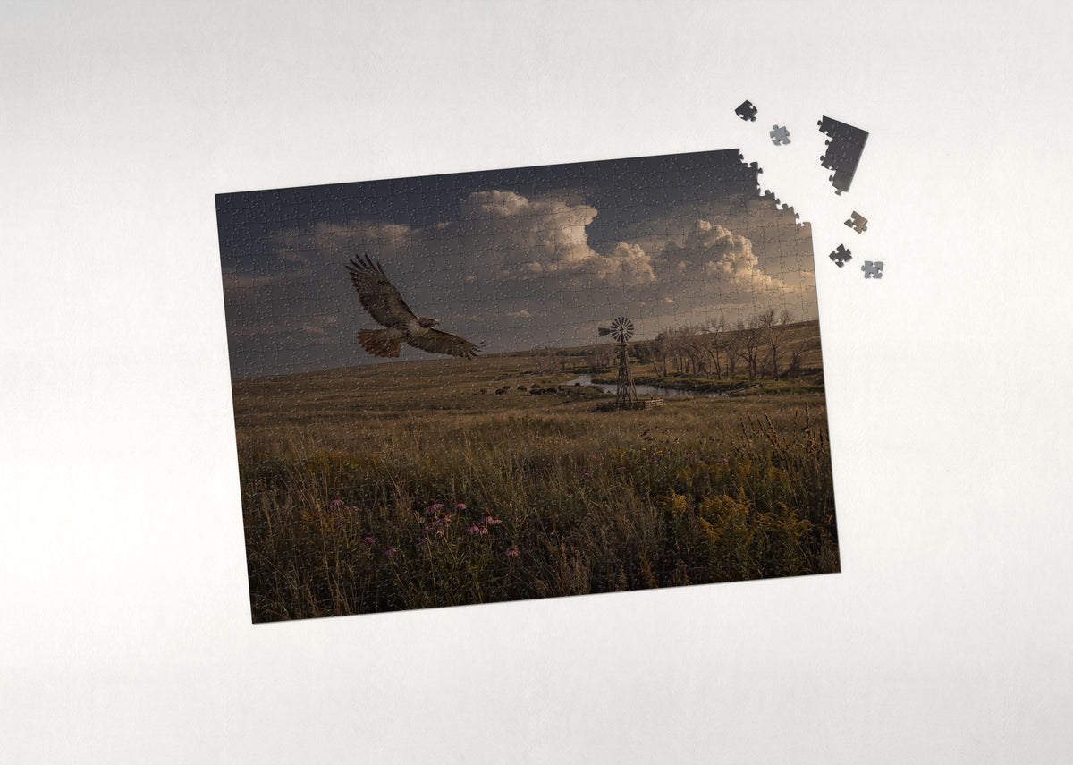 Red Tailed Hawk Over the Prairie jigsaw puzzle - puzzle with loose pieces