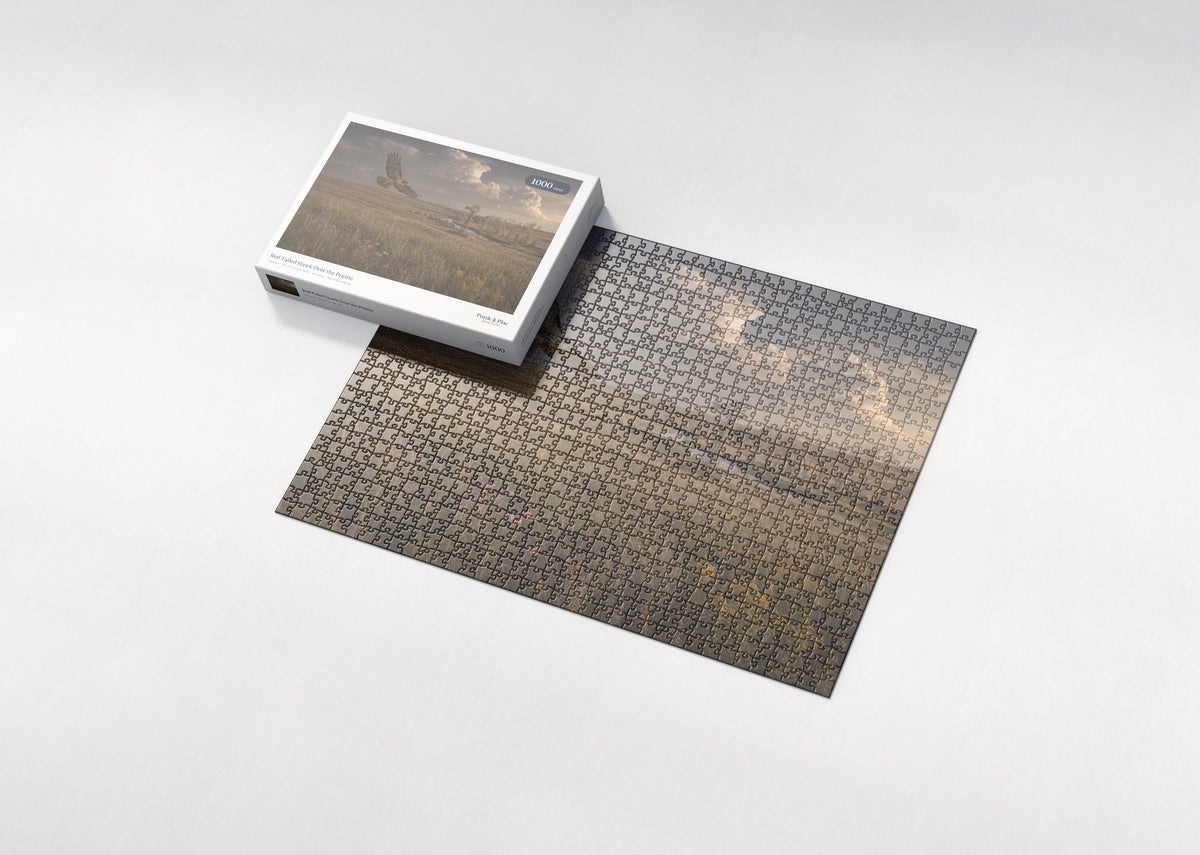 Red Tailed Hawk Over the Prairie jigsaw puzzle - box and puzzle