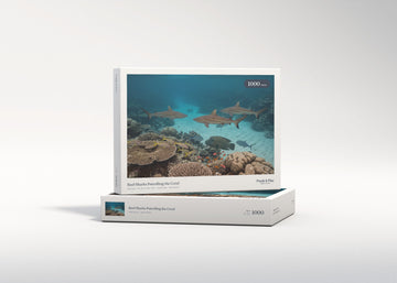 Reef Sharks Patrolling the Coral jigsaw puzzle - gift box