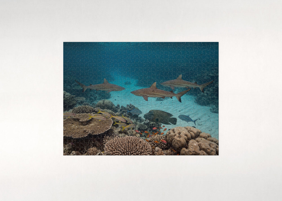 Reef Sharks Patrolling the Coral jigsaw puzzle - flat puzzle