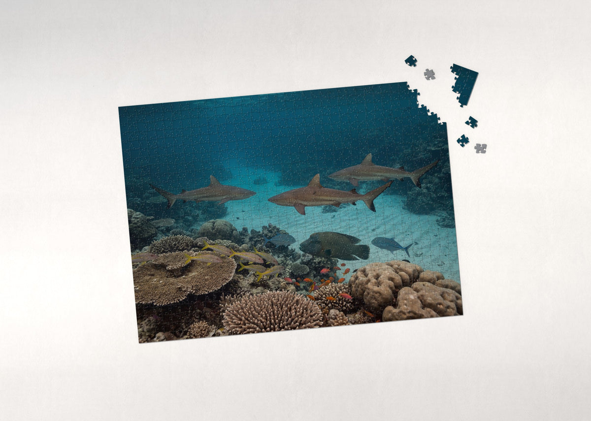 Reef Sharks Patrolling the Coral jigsaw puzzle - puzzle with loose pieces