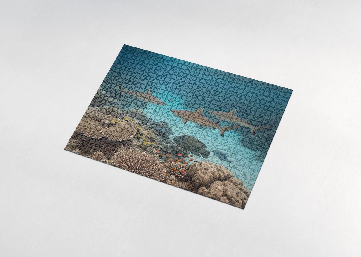 Reef Sharks Patrolling the Coral jigsaw puzzle - assembled puzzle