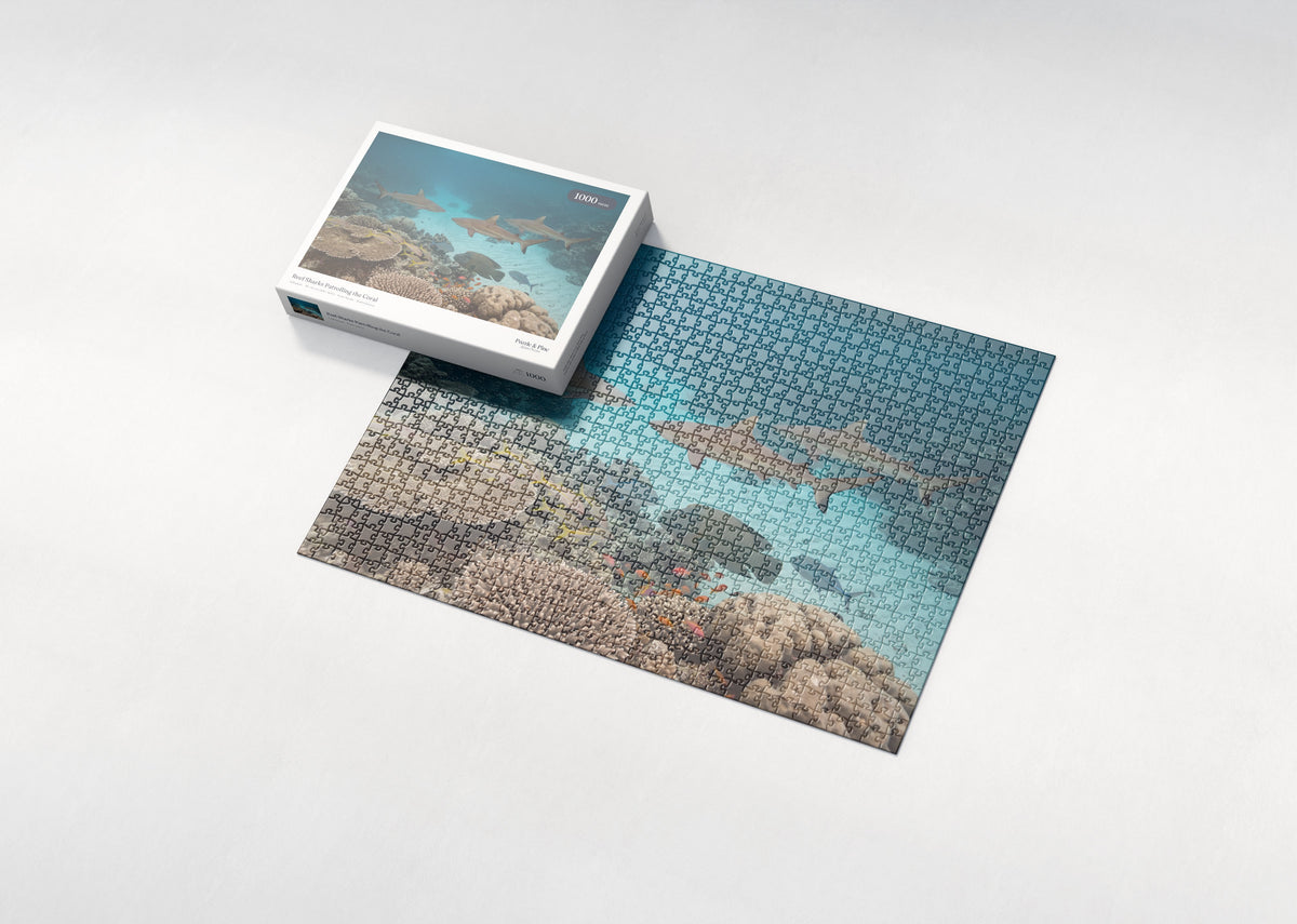 Reef Sharks Patrolling the Coral jigsaw puzzle - box and puzzle