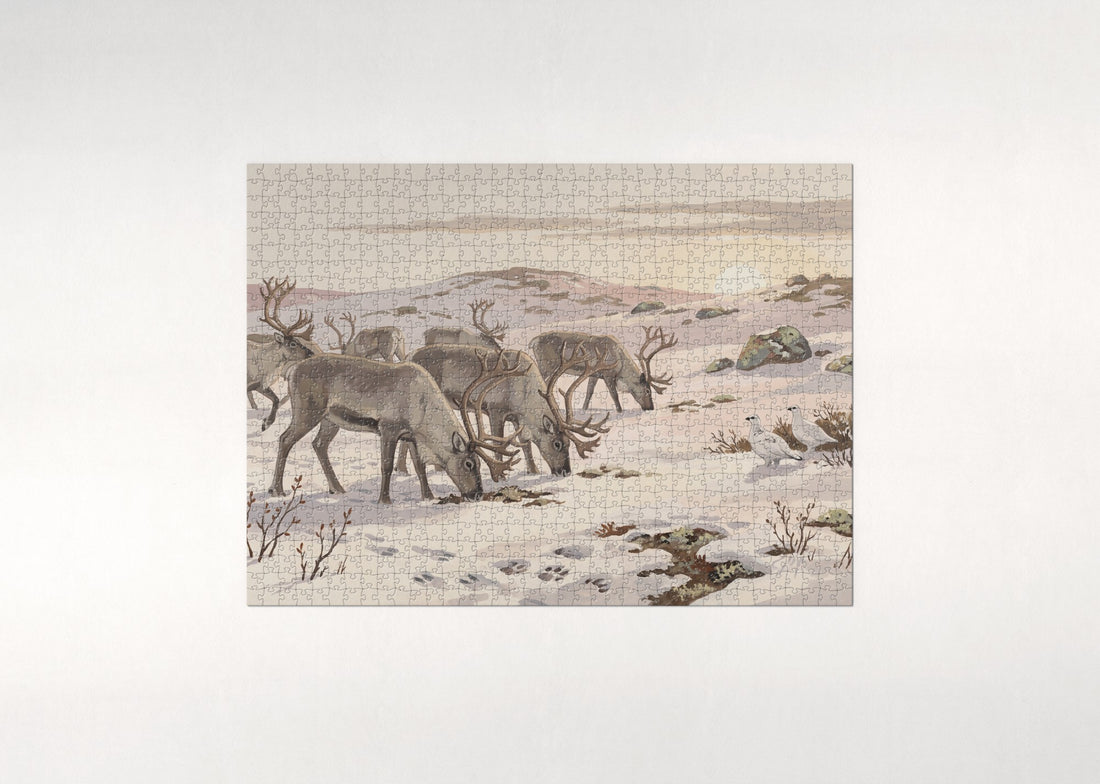 Reindeer Herd in the Snowy Tundra jigsaw puzzle - gift box