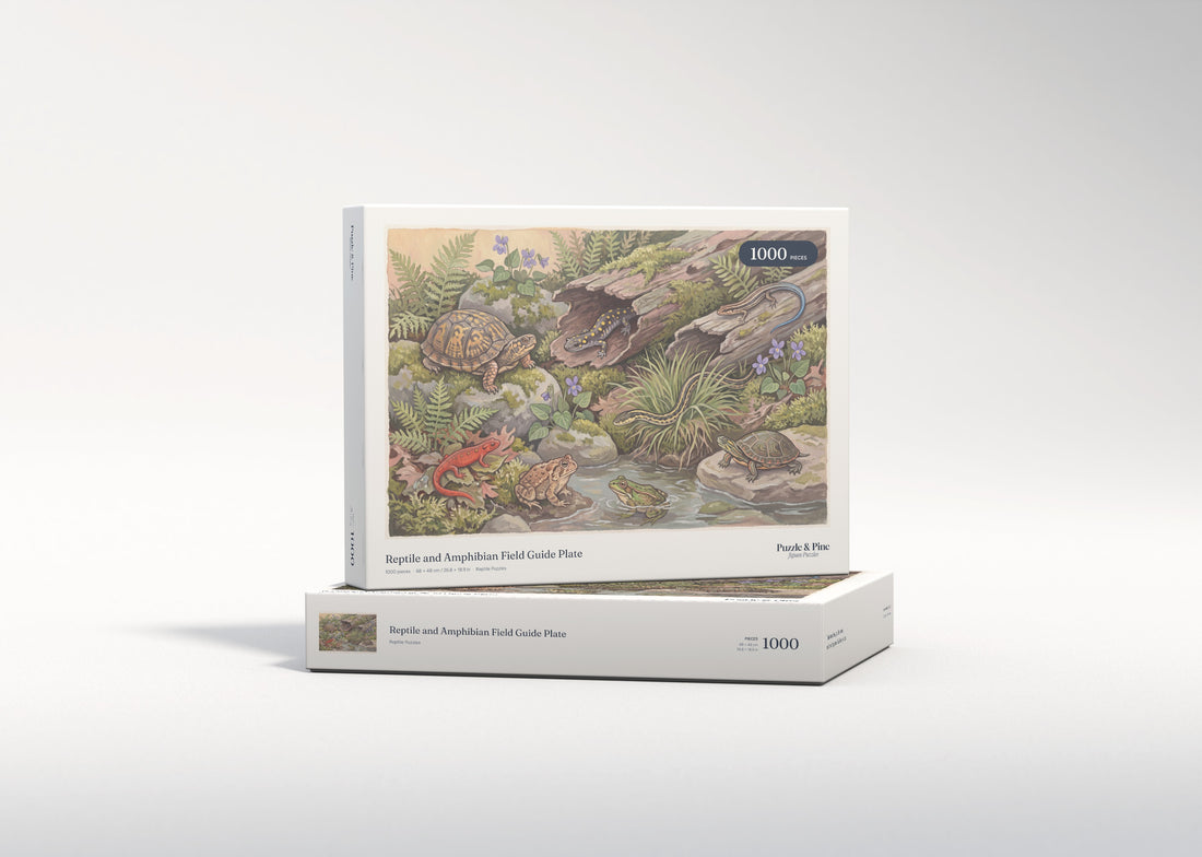 Reptile and Amphibian Field Guide Plate jigsaw puzzle - gift box