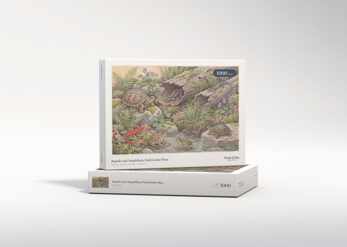 Reptile and Amphibian Field Guide Plate jigsaw puzzle - gift box