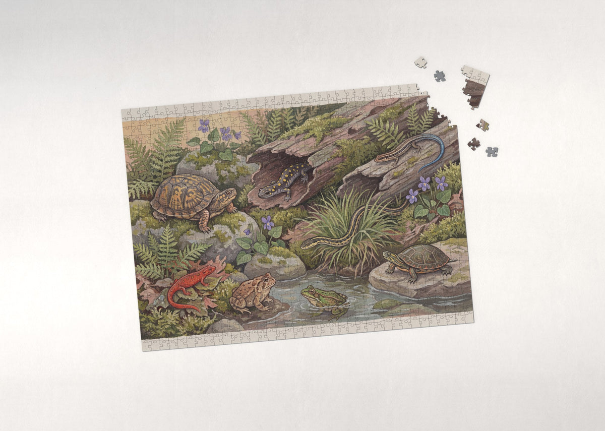 Reptile and Amphibian Field Guide Plate jigsaw puzzle - puzzle with loose pieces
