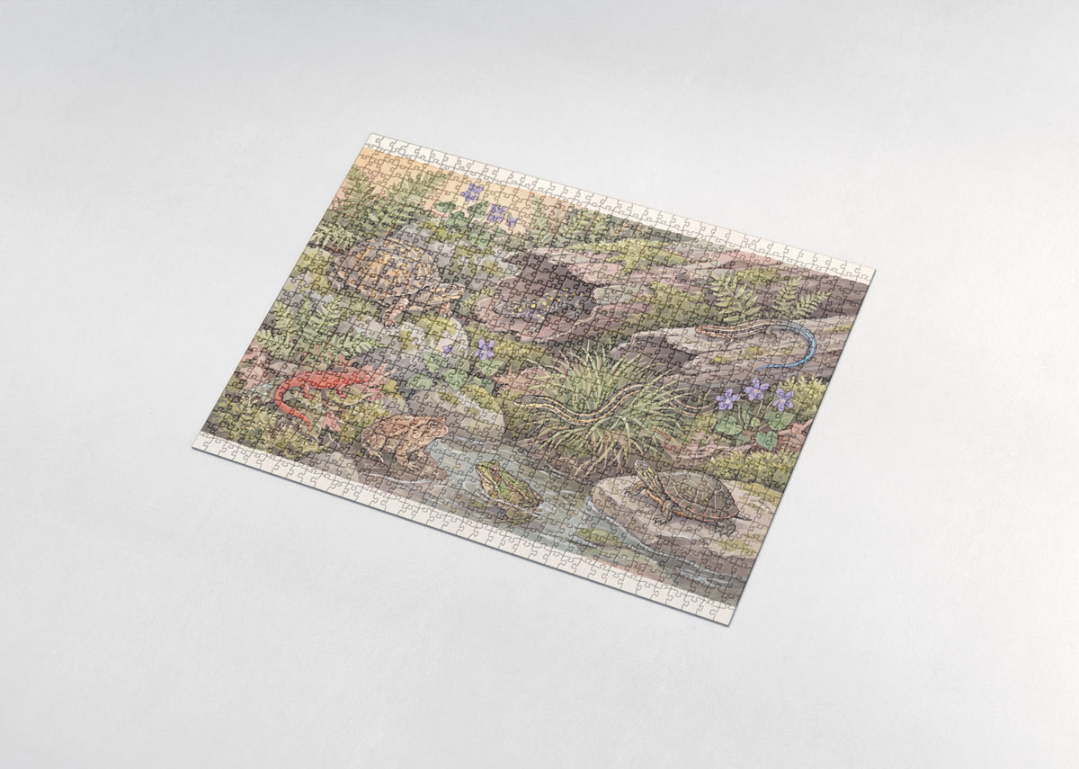 Reptile and Amphibian Field Guide Plate jigsaw puzzle - assembled puzzle