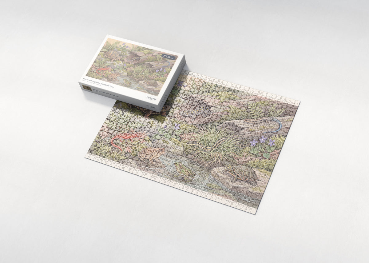 Reptile and Amphibian Field Guide Plate jigsaw puzzle - box and puzzle
