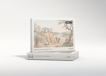 Ring Tailed Lemurs in the Madagascar Sun jigsaw puzzle - gift box