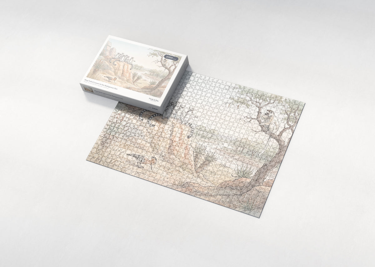 Ring Tailed Lemurs in the Madagascar Sun jigsaw puzzle - box and puzzle