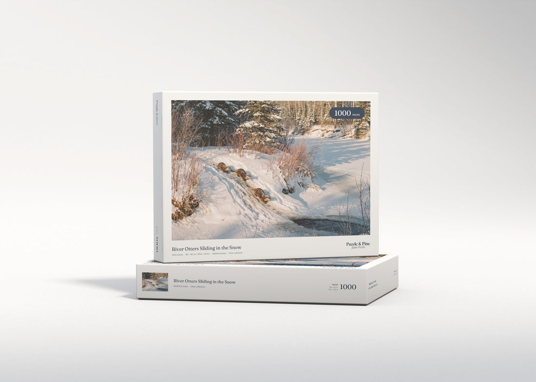 River Otters Sliding in the Snow jigsaw puzzle - gift box