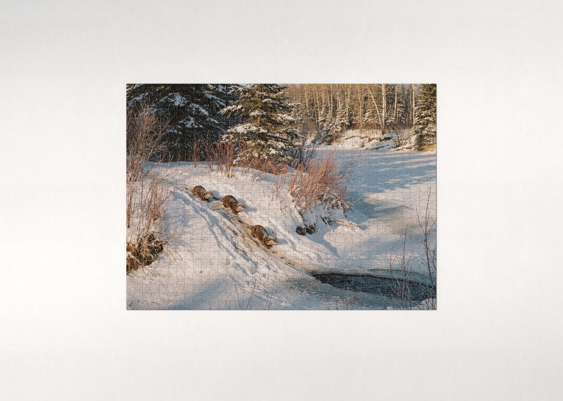 River Otters Sliding in the Snow jigsaw puzzle - gift box