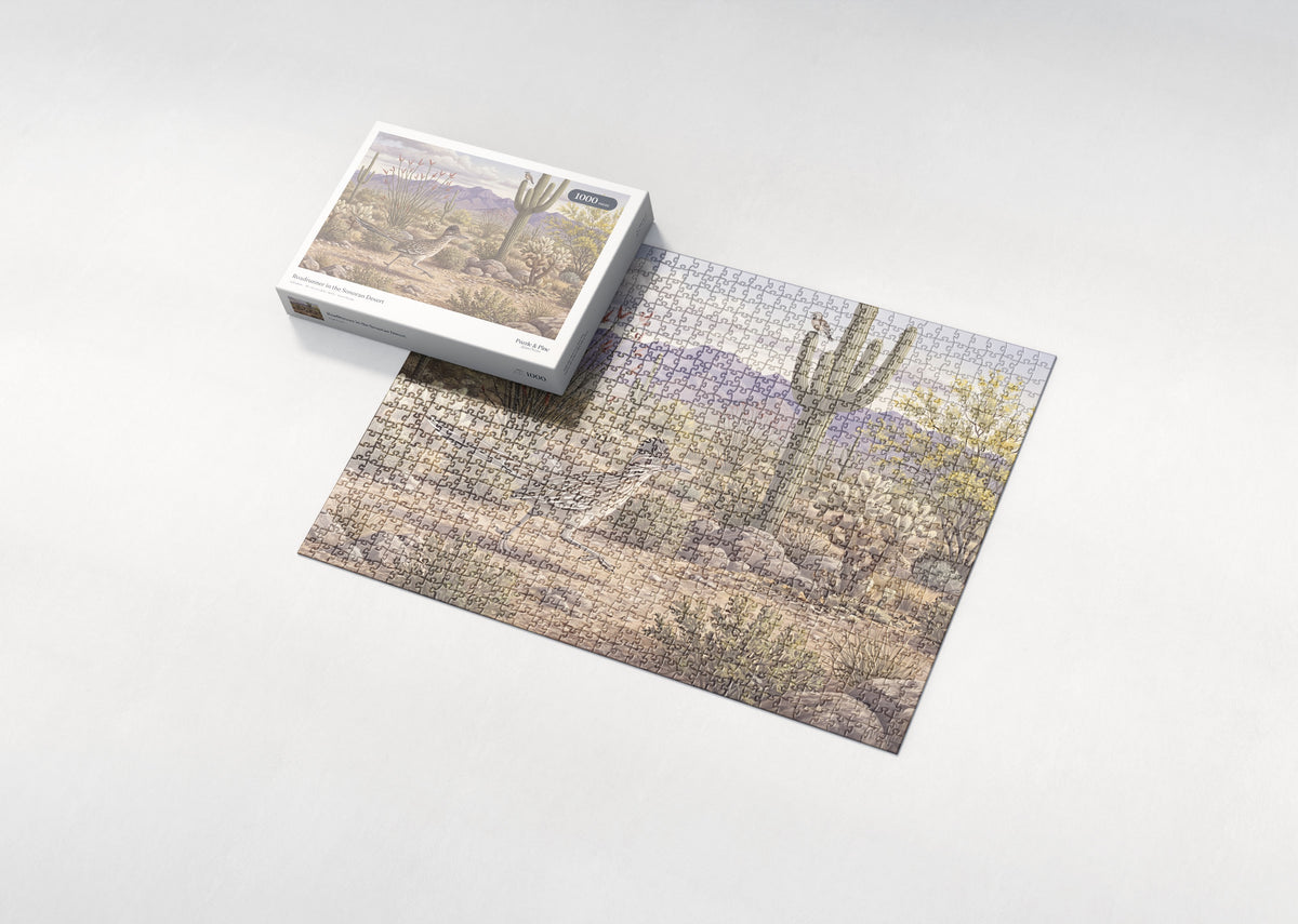 Roadrunner in the Sonoran Desert jigsaw puzzle - box and puzzle