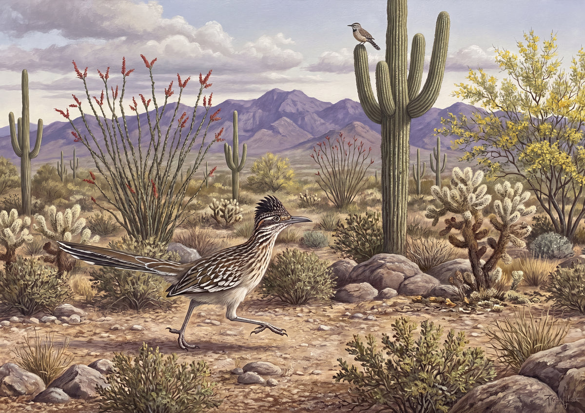 Roadrunner in the Sonoran Desert jigsaw puzzle