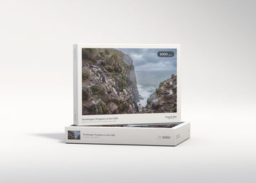 Rockhopper Penguins on the Cliffs jigsaw puzzle - gift box