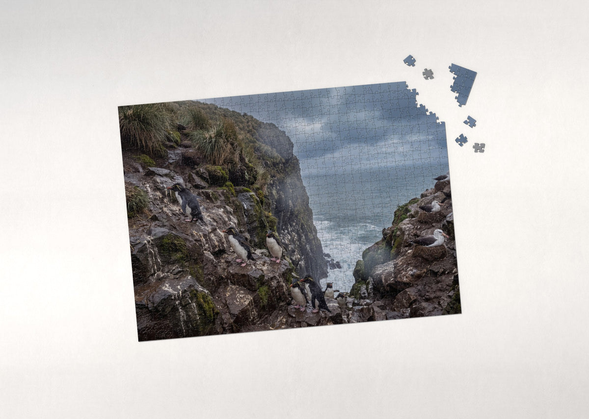 Rockhopper Penguins on the Cliffs jigsaw puzzle - puzzle with loose pieces