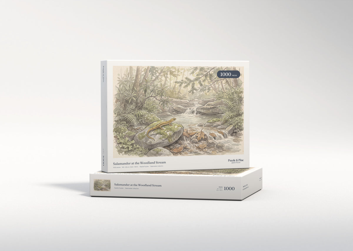 Salamander at the Woodland Stream jigsaw puzzle - gift box