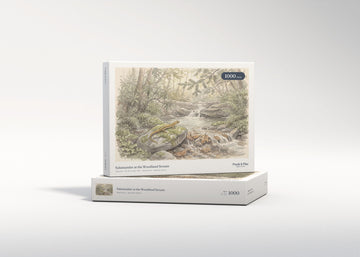 Salamander at the Woodland Stream jigsaw puzzle - gift box