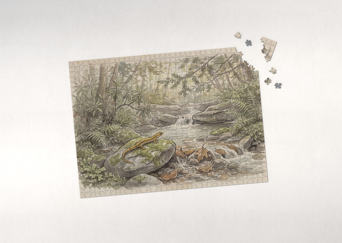 Salamander at the Woodland Stream jigsaw puzzle - puzzle with loose pieces