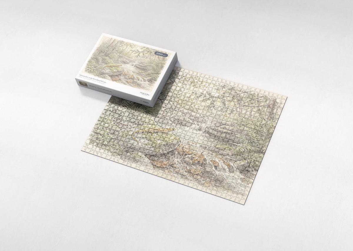 Salamander at the Woodland Stream jigsaw puzzle - box and puzzle