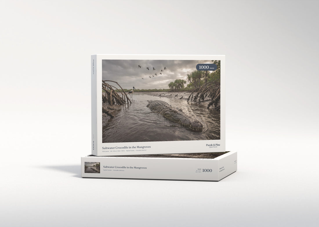 Saltwater Crocodile in the Mangroves jigsaw puzzle - gift box