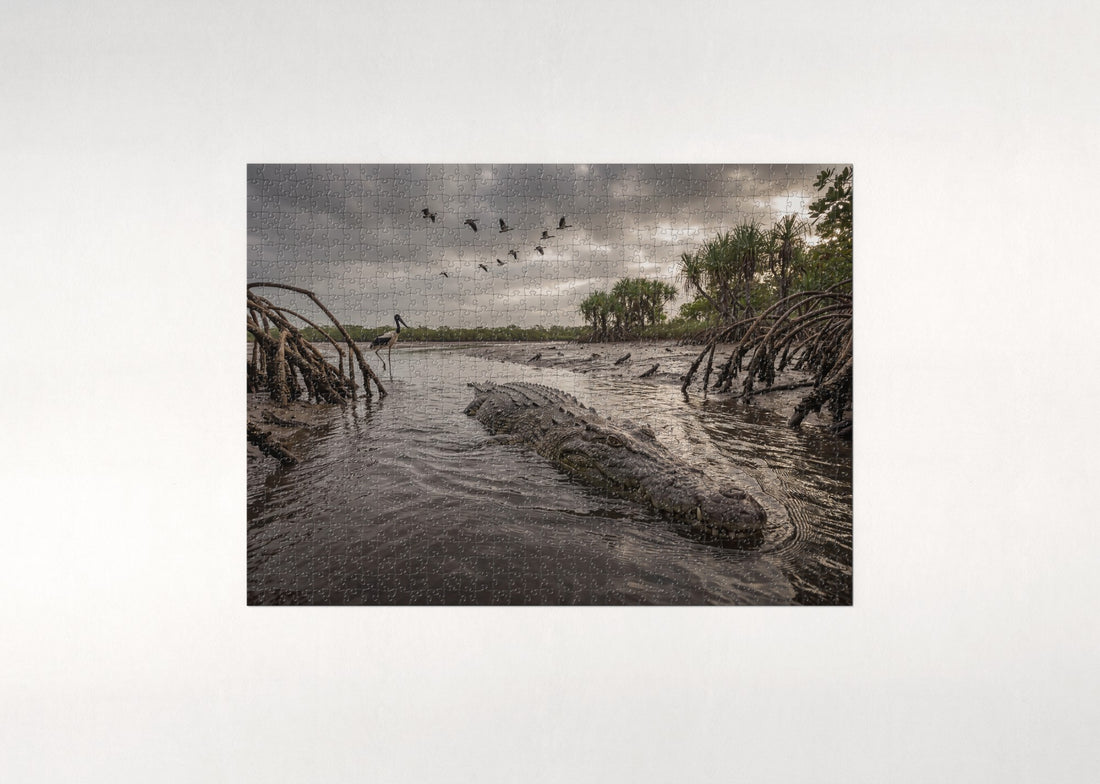 Saltwater Crocodile in the Mangroves jigsaw puzzle - gift box