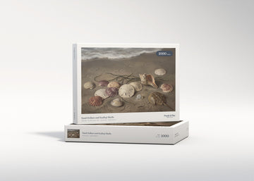 Sand Dollars and Scallop Shells jigsaw puzzle - gift box