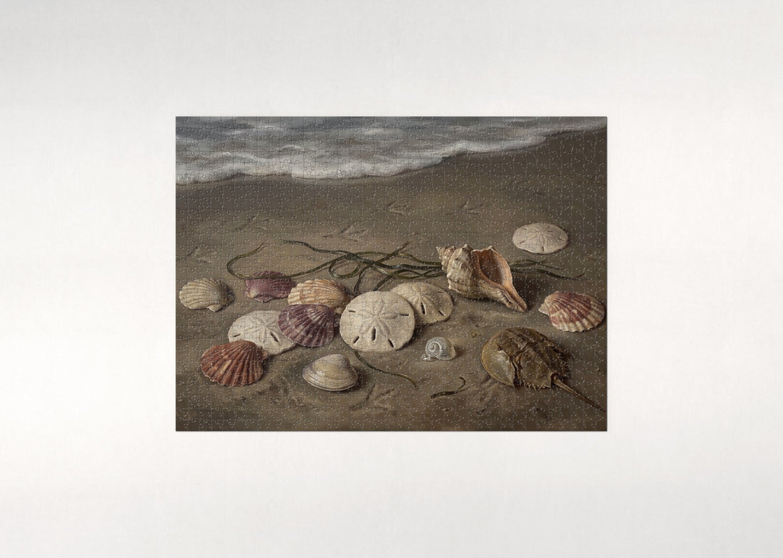 Sand Dollars and Scallop Shells jigsaw puzzle - gift box