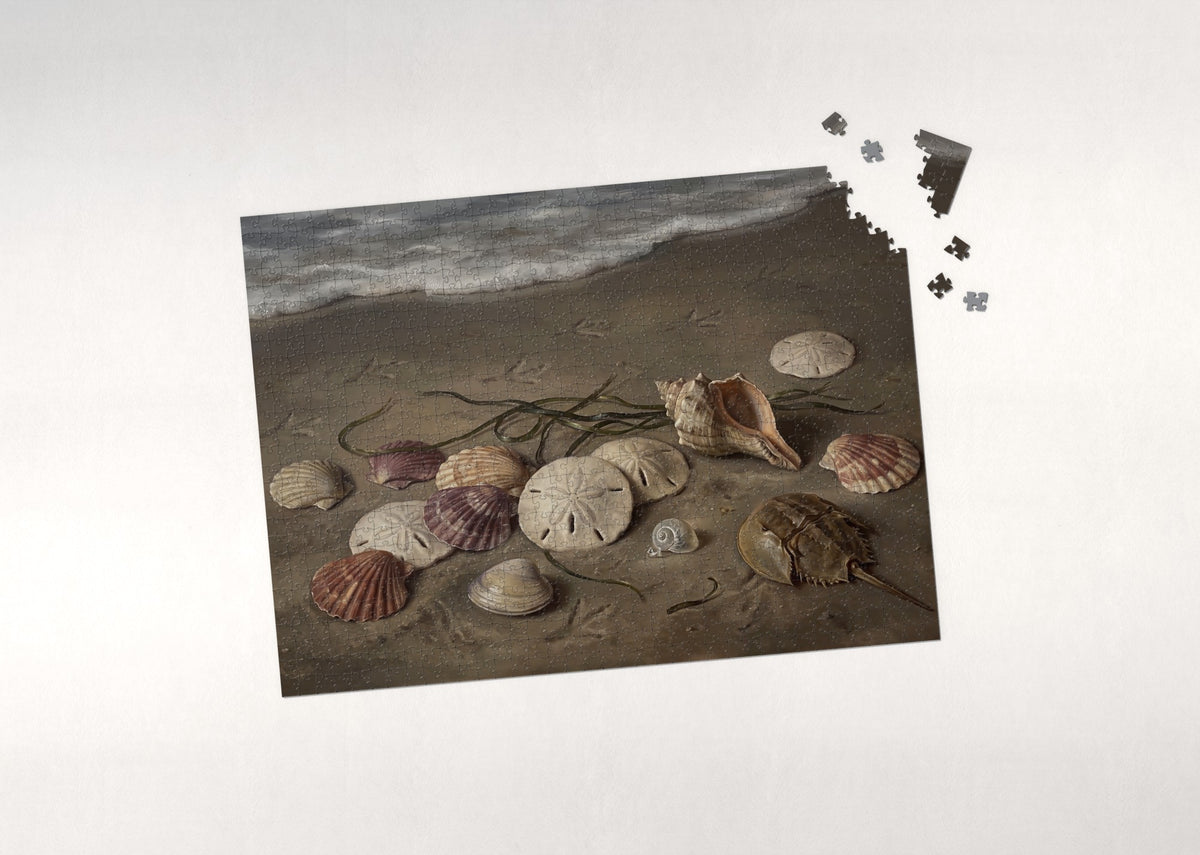 Sand Dollars and Scallop Shells jigsaw puzzle - puzzle with loose pieces