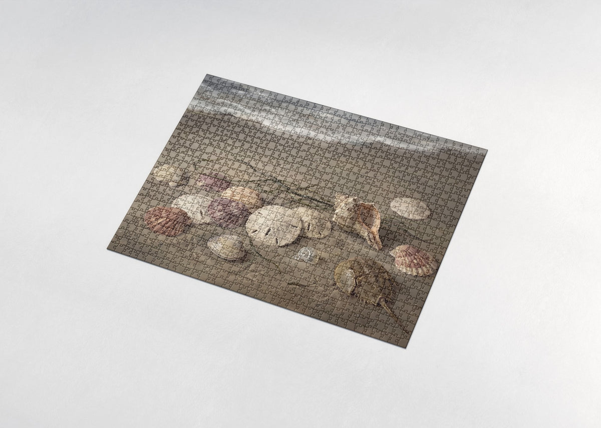 Sand Dollars and Scallop Shells jigsaw puzzle - assembled puzzle