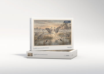 Sandhill Cranes at the Marsh Sunrise jigsaw puzzle - gift box