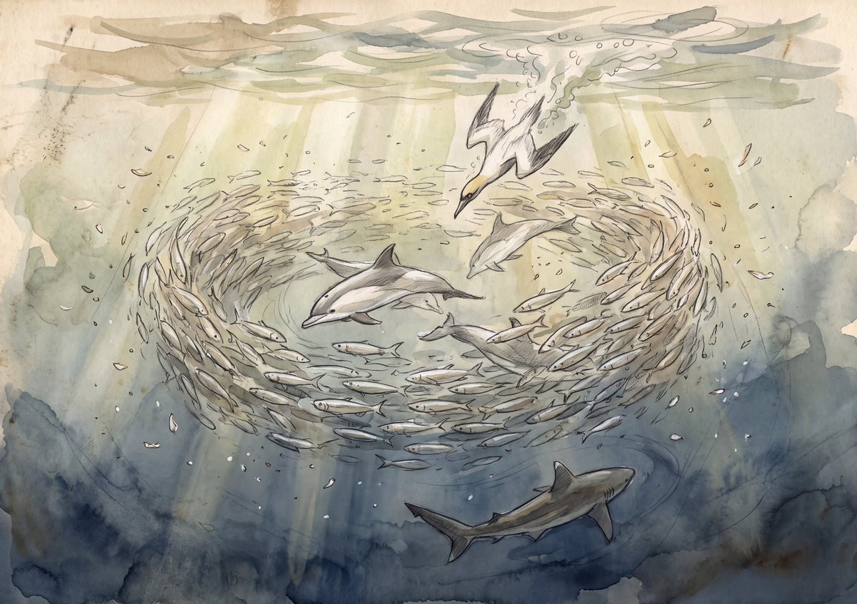 School of Sardines Bait Ball jigsaw puzzle