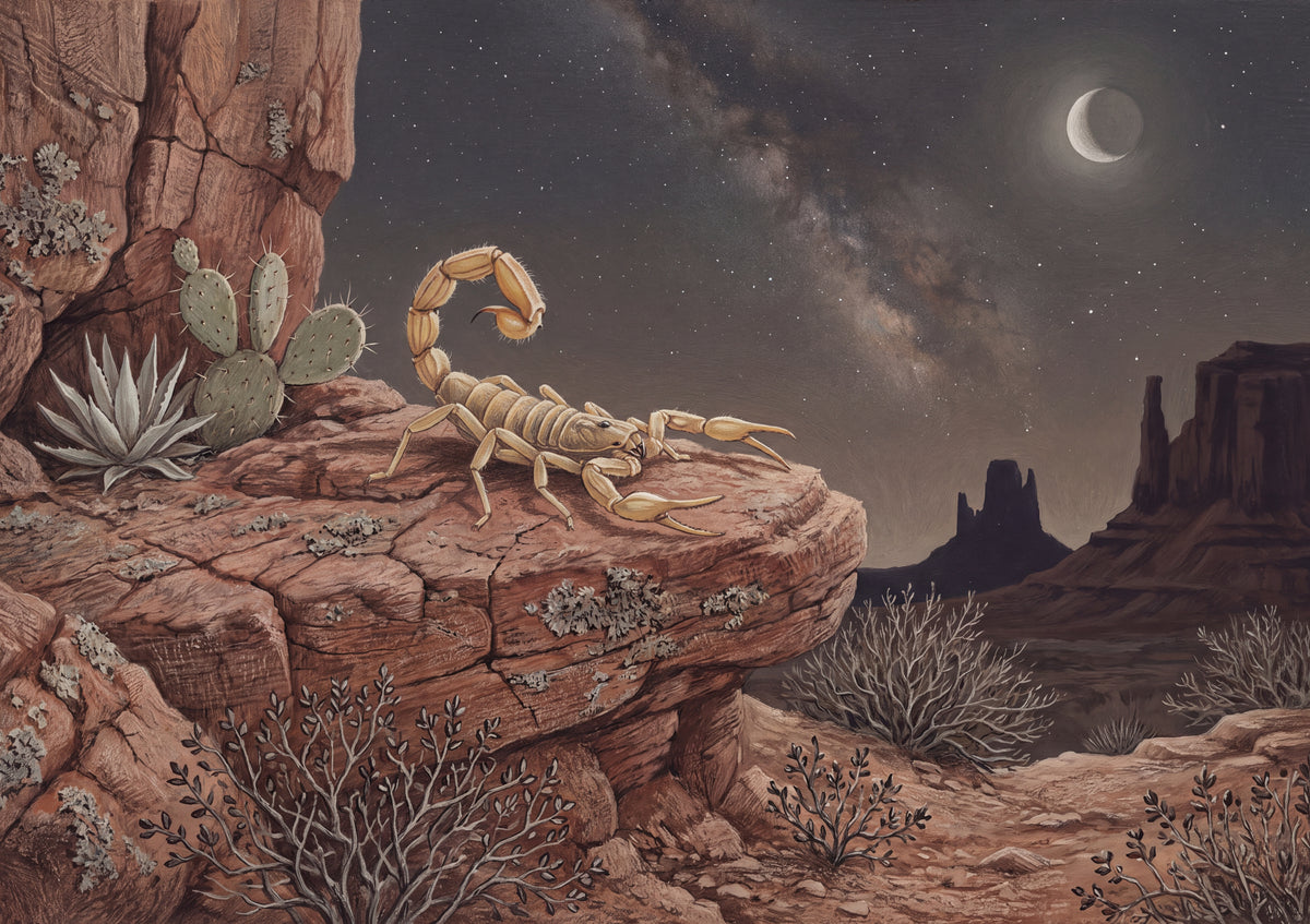 Scorpion on the Red Rock at Night jigsaw puzzle
