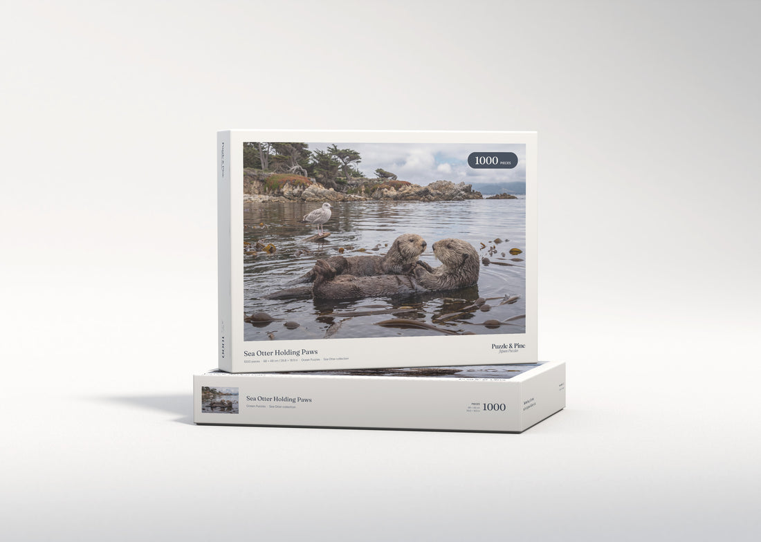 Sea Otter Holding Paws jigsaw puzzle - gift box