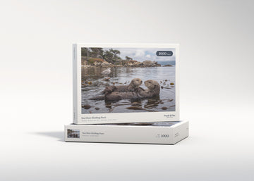 Sea Otter Holding Paws jigsaw puzzle - gift box