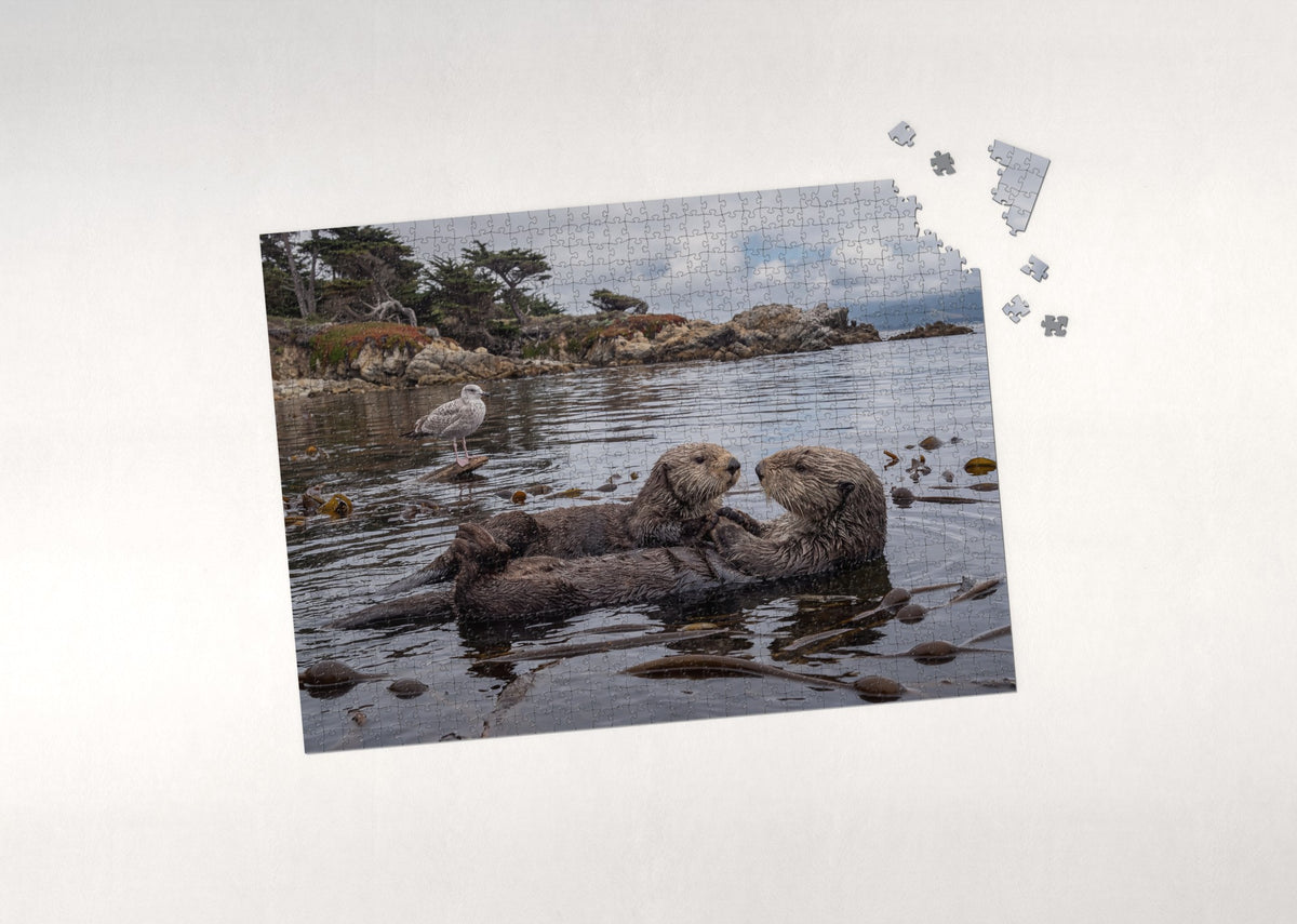 Sea Otter Holding Paws jigsaw puzzle - puzzle with loose pieces