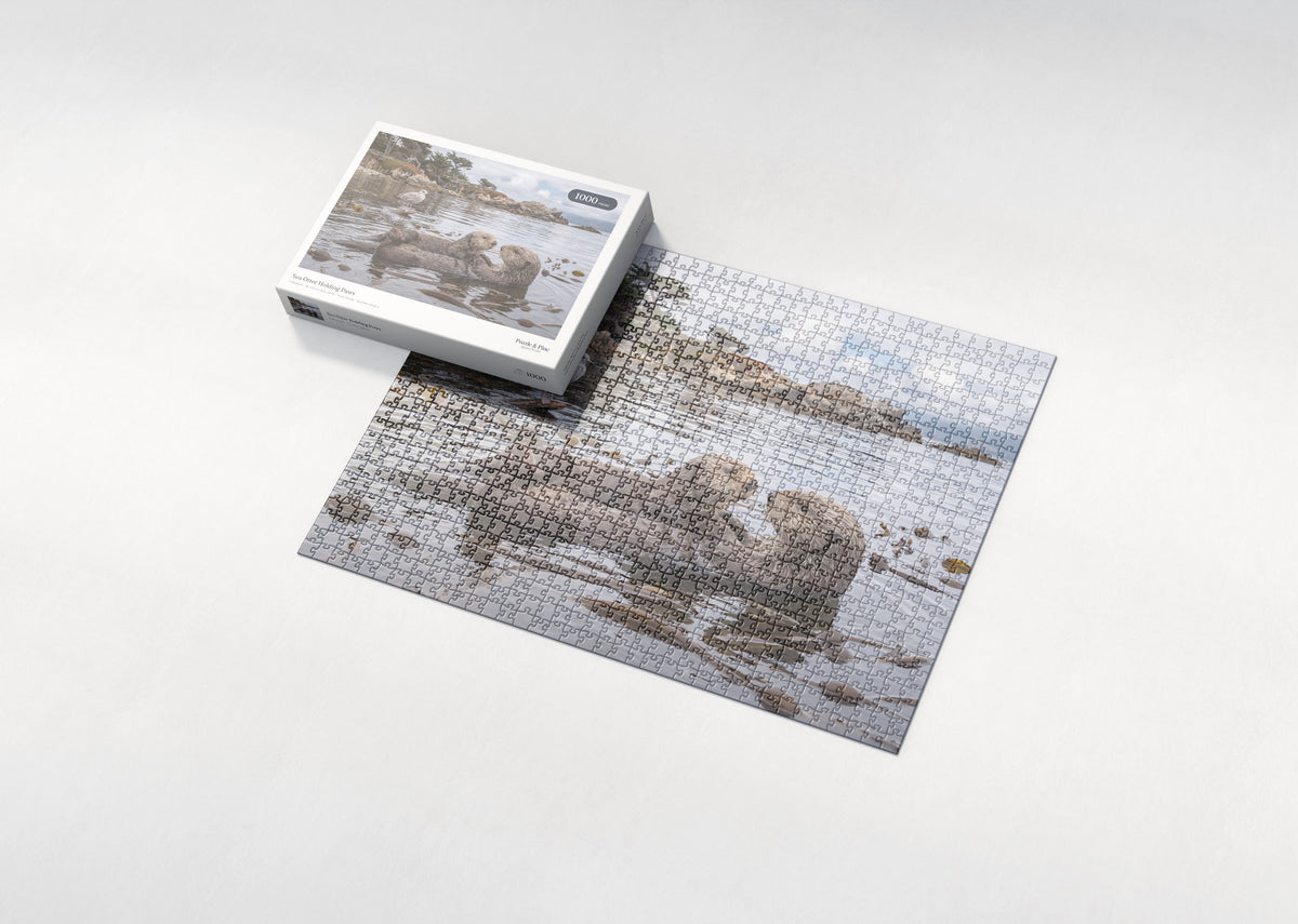 Sea Otter Holding Paws jigsaw puzzle - box and puzzle