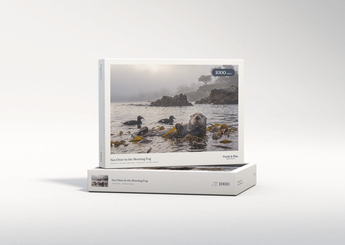 Sea Otter in the Morning Fog jigsaw puzzle - gift box
