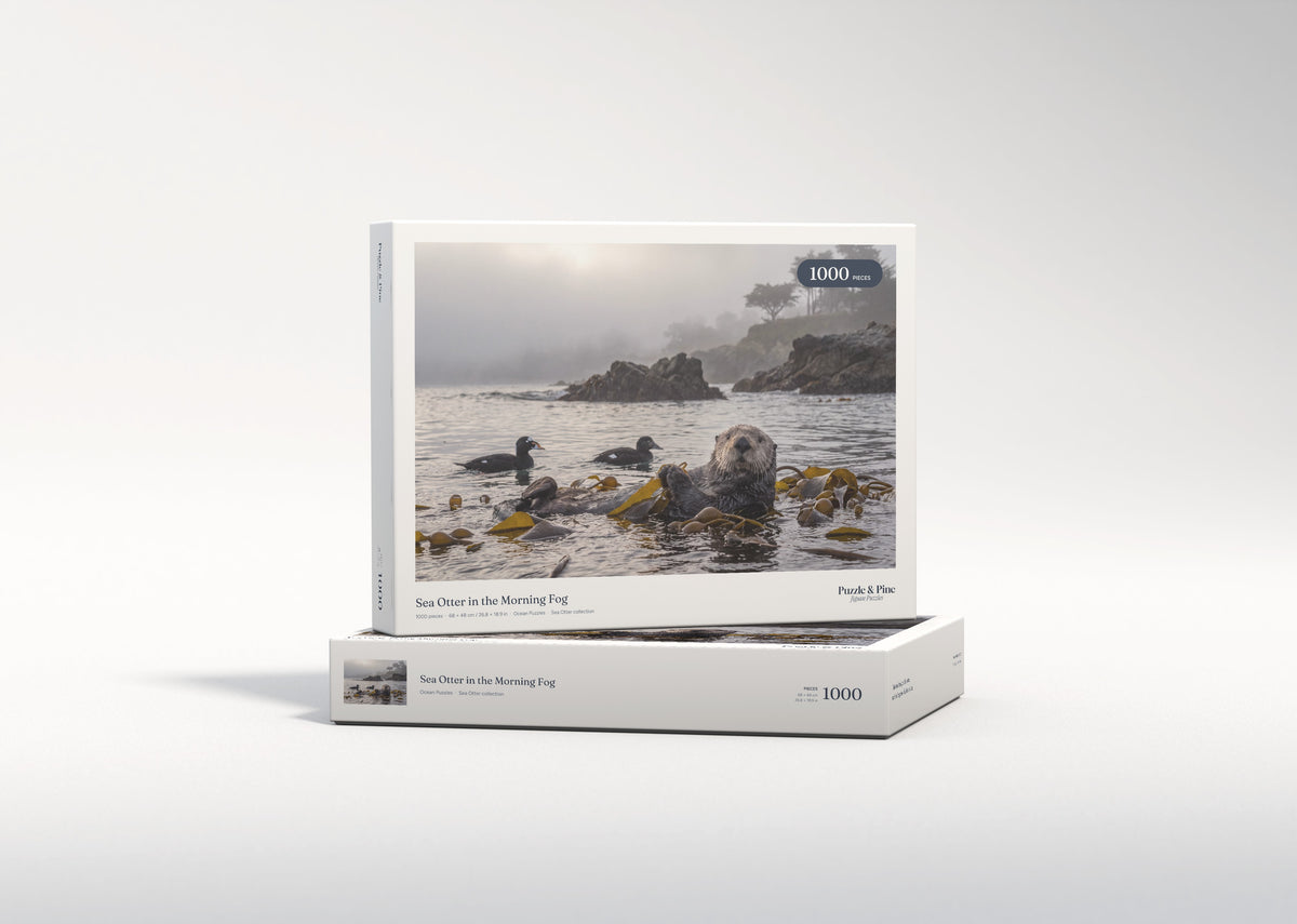 Sea Otter in the Morning Fog jigsaw puzzle - gift box
